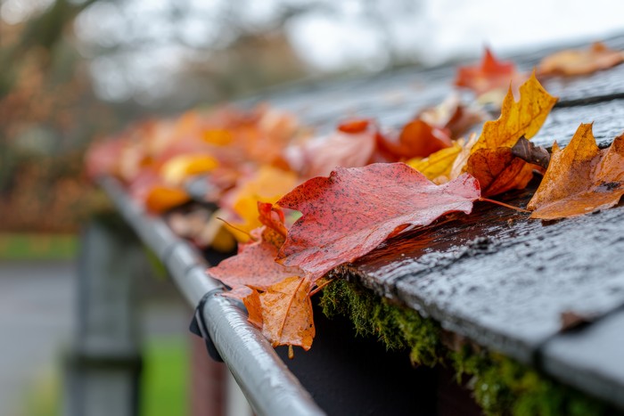 Tacoma Leaf Gutter Guards